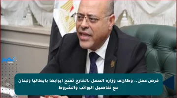 فرص عمل.. وظائف وزارة العمل بالخارج تفتح أبوابها بإيطاليا ولبنان مع تفاصيل الرواتب والشروط